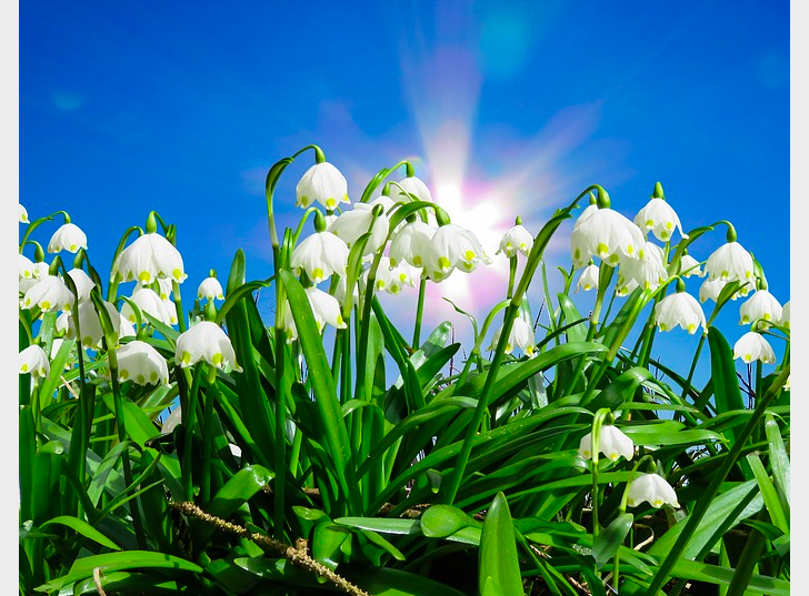 #3. Spring snowflake